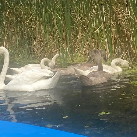 Icuka Vendeghaza 펜션 Kiskunlacháza