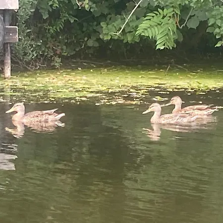 Icuka Vendeghaza * Kiskunlacháza