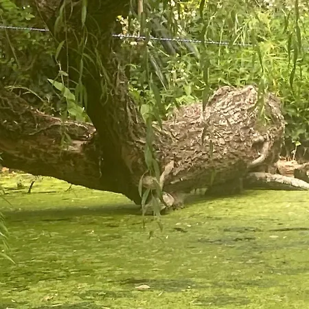 Icuka Vendeghaza Kiskunlacháza